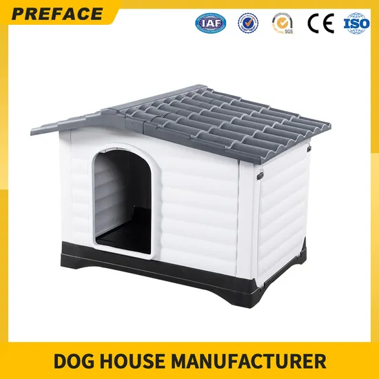 Produttore Cuccia per animali domestici esterna antipioggia per interni Cuccia per cani in plastica di grandi dimensioni per esterni con finestra