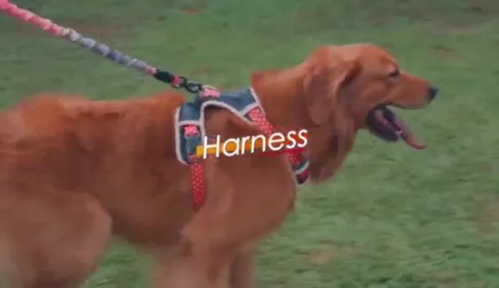 No Pull Training Adjustable Reflective Breathable Outdoor Wholesale Dog Harness Pet Supply