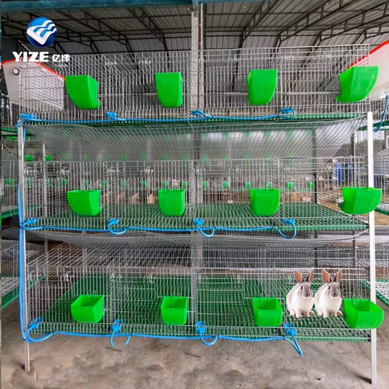 Conigliera per conigli Allevamento di conigli Gabbie per animali domestici Cortile per animali domestici Gabbia per animali domestici in legno di grandi dimensioni