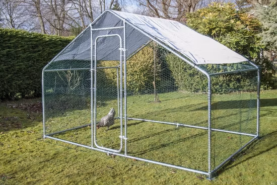 Grande pollaio in metallo per galline da passeggio