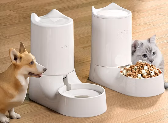 Forniture per accessori per gabbie per uccelli Myna, pappagallo, alimentatore automatico per abbeveratoio per uccelli